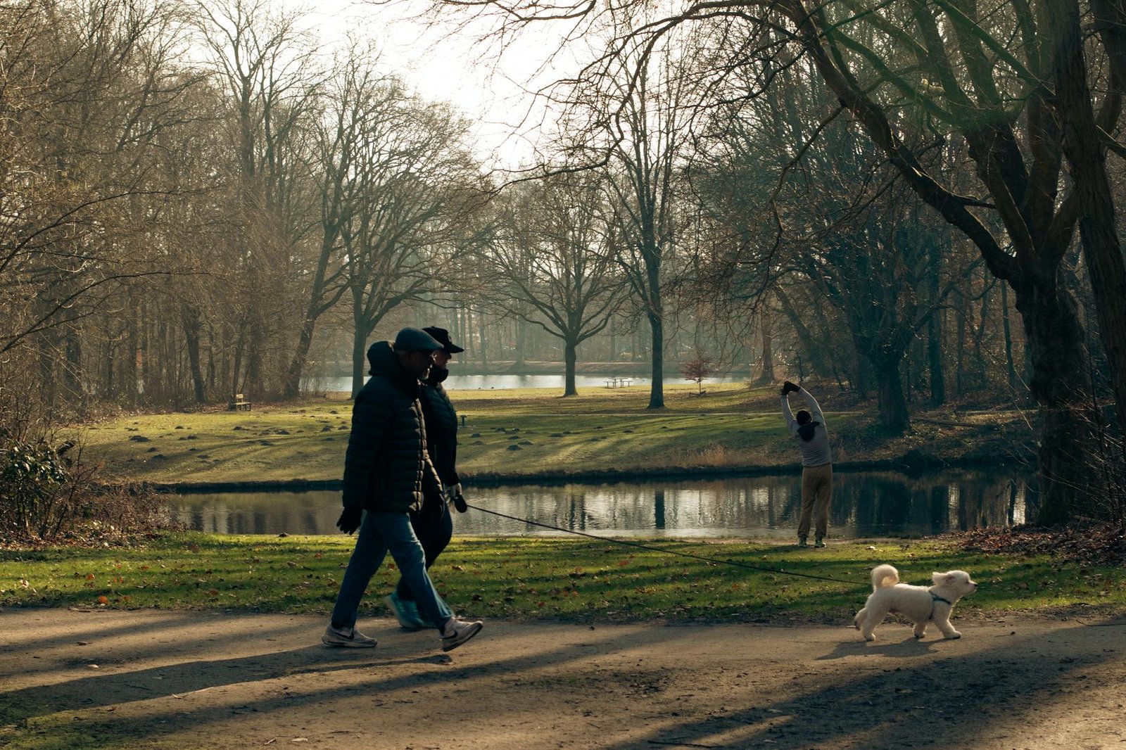 Japanese walking mindful walking in nature park
