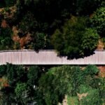 walking path nature park