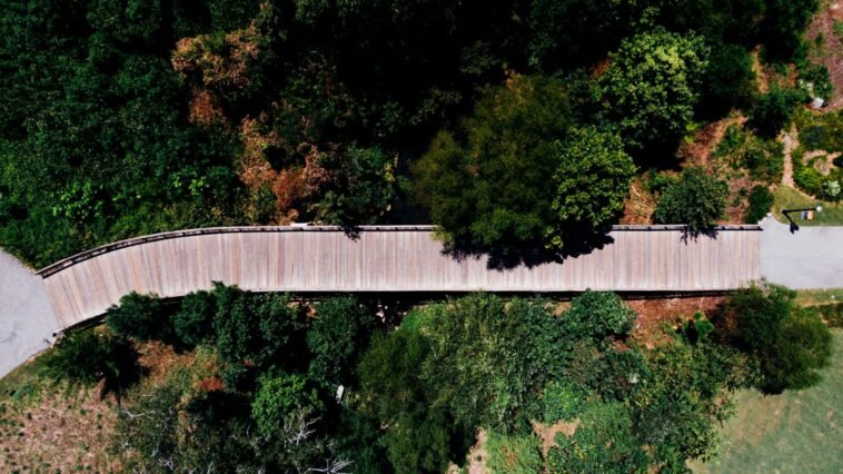 walking path nature park