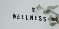 Minimalist image of the word 'wellness' with eucalyptus branch, creating a serene vibe on white background.
