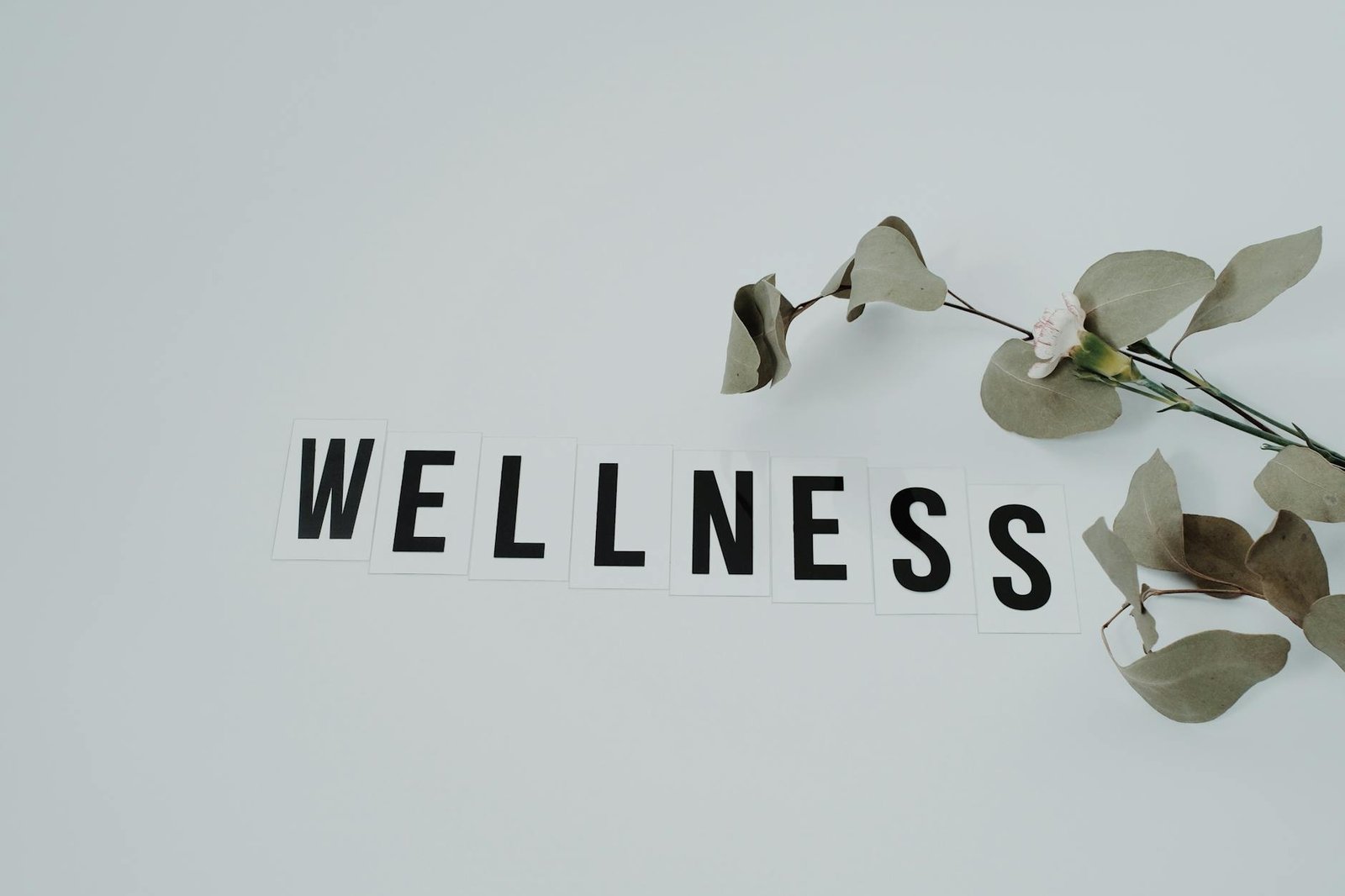 Minimalist image of the word 'wellness' with eucalyptus branch, creating a serene vibe on white background.