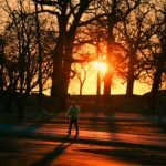 A person walks through Cove Island Park during a vivid autumn sunrise in Stamford, Connecticut.