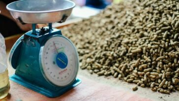 Close-up of a vintage Kusama weight scale beside a large pile of peanuts in natural light.