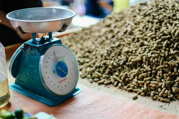 Close-up of a vintage Kusama weight scale beside a large pile of peanuts in natural light.