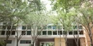 Scenic view of university campus with trees in Coral Gables, Florida, USA.