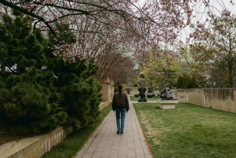 Woman walking under blooming trees in a sculpture garden during spring.