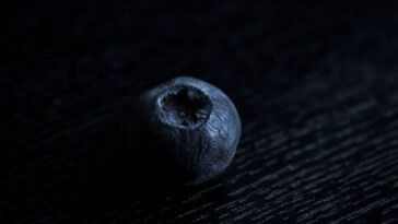 Why I Eat Blueberries Every Single Day: 15 Reasons