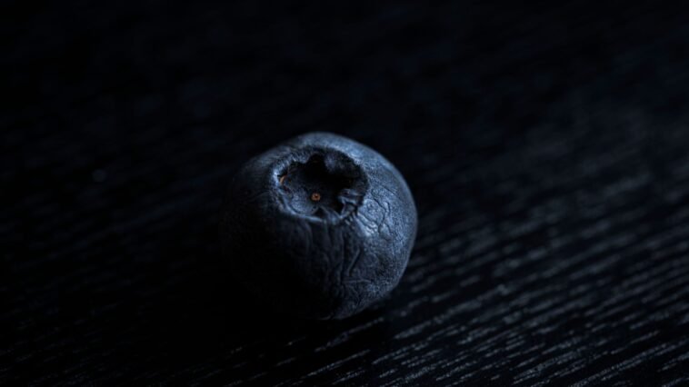 Why I Eat Blueberries Every Single Day: 15 Reasons