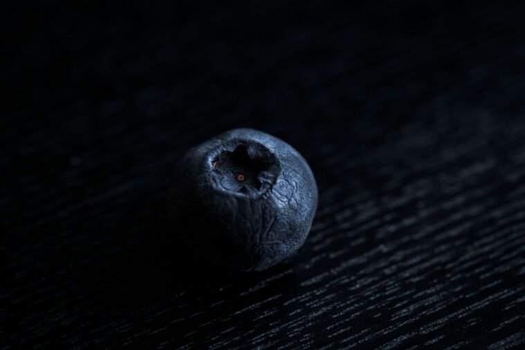 Why I Eat Blueberries Every Single Day: 15 Reasons